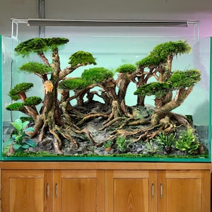 Aquarium driftwood bonsai tree aquascape plants for fish tank decorations