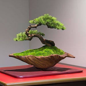 May include: A bonsai tree with green foliage and a gnarled brown trunk, growing in a moss-covered wooden pot. The pot is shaped like a bowl and is resting on a red wooden table.