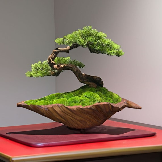 Fake bonsai tree discount