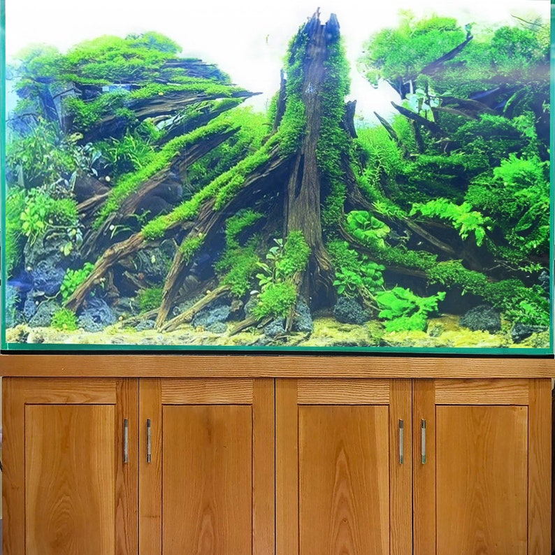 Driftwood aquarium cave tree stump aquascape large aquarium hide fish tank decor image 1