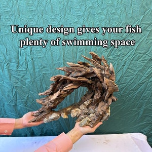 May include: A large, brown, driftwood-like aquarium ornament with a unique design that creates plenty of swimming space for fish. The ornament is held in the hands of a person.