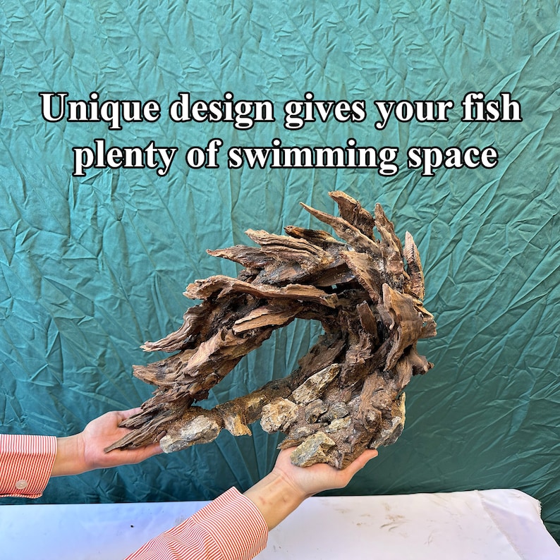 May include: A large, brown, driftwood-like aquarium ornament with a unique design that creates plenty of swimming space for fish. The ornament is held in the hands of a person.