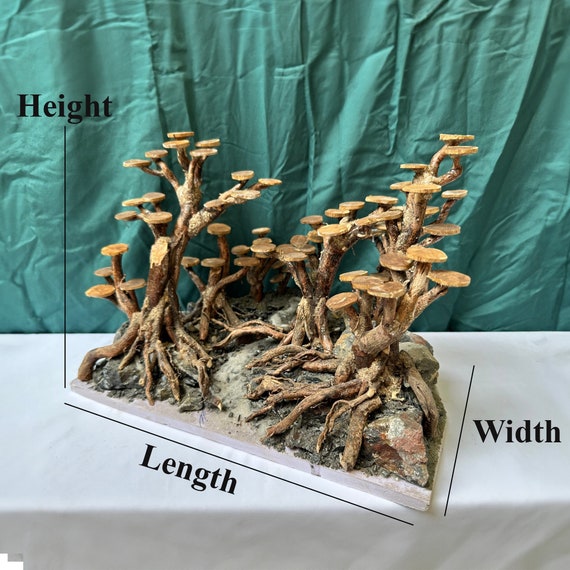 Sabbia Fine Argan 0-4 Per Terrari E Acquari - 2.5kg Per Drenaggio Piante, Decorazione E Rettili - Foto 13