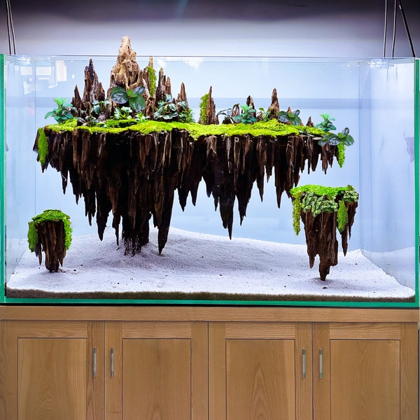 Aquarium hardscape aquascape driftwood bonsai tree wood terrarium background fish tank decor betta