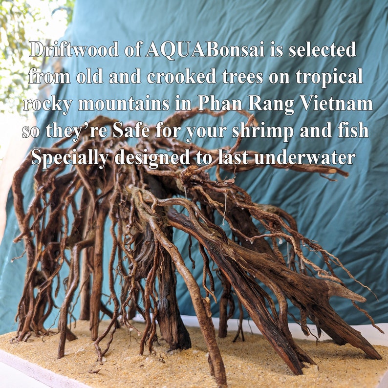 May include: Driftwood from AQUABonsai, sourced from old trees in Vietnam. This natural piece is safe for aquariums and designed to last underwater.