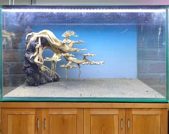 流木盆栽水槽アクアスケープ岩装飾魚水槽本物の流木大型 - Etsy 日本