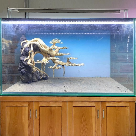 Drift Wood Bonsai Aquarium Aquascape Rock Decor Fish Tank Real