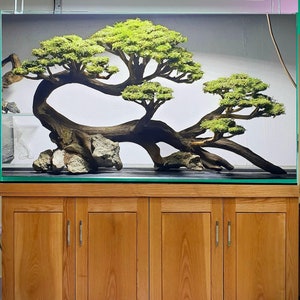 Aquarium driftwood bonsai tree aquascape hardscape drift wood decor your fish tank