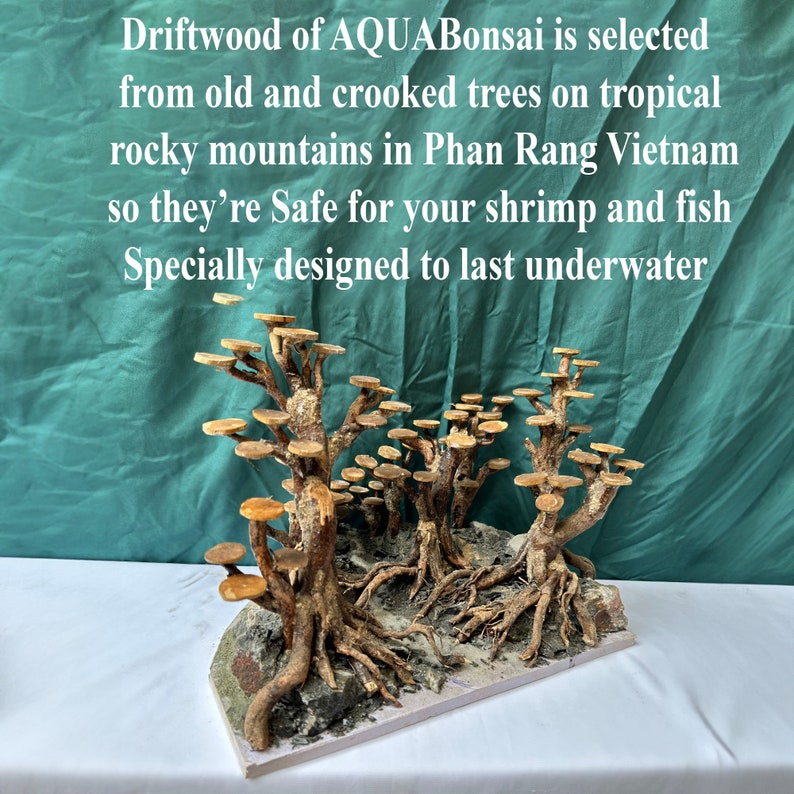 Picture of Aquarium Driftwood Bonsai Tree Aquascape Plants for Fish Tank ...