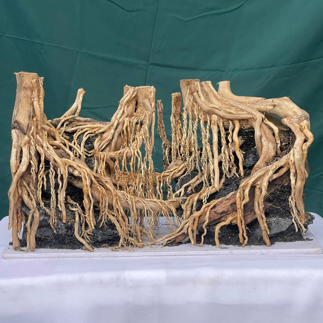 Aquarium Driftwood Extra Large Aquascape Wood Aquatic Bonsai Fish Tank
