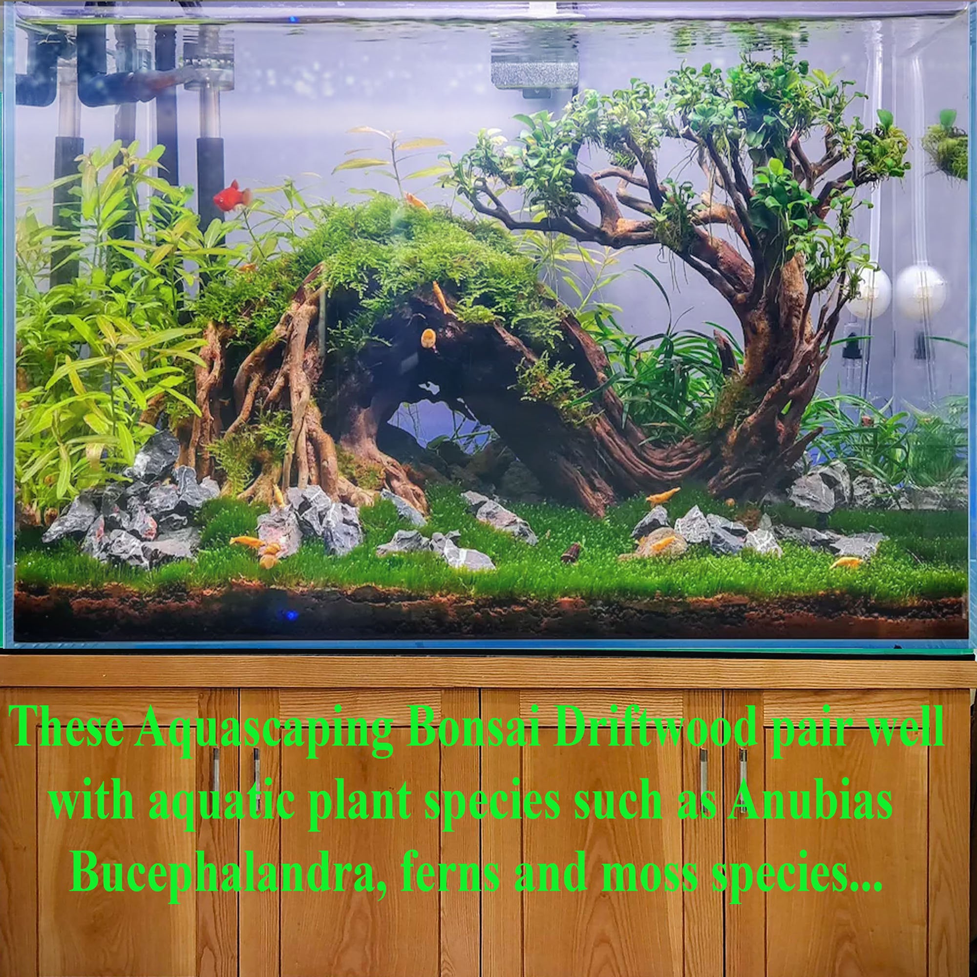 流木盆栽水槽岩水景ハードスケープ植物水槽装飾 - Etsy 日本