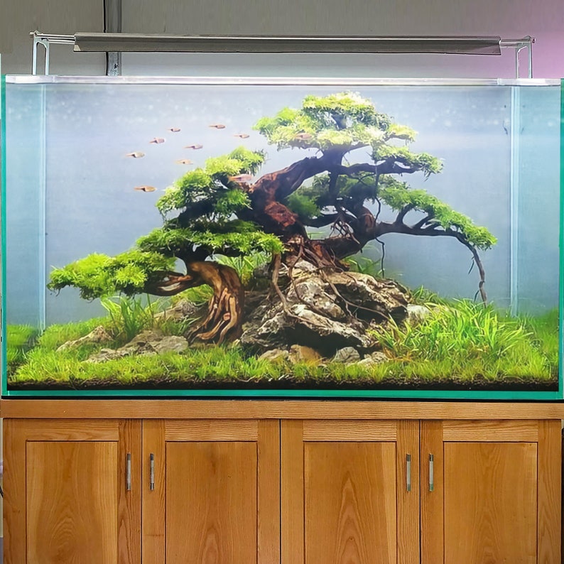 Bonsai Aquarium Driftwood Tree Aquascape Hardscape Wood Fish Etsy