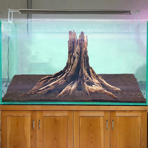 Decorazioni per acquario in legno, ceppo di legni, bonsai, aquascape, per acquario