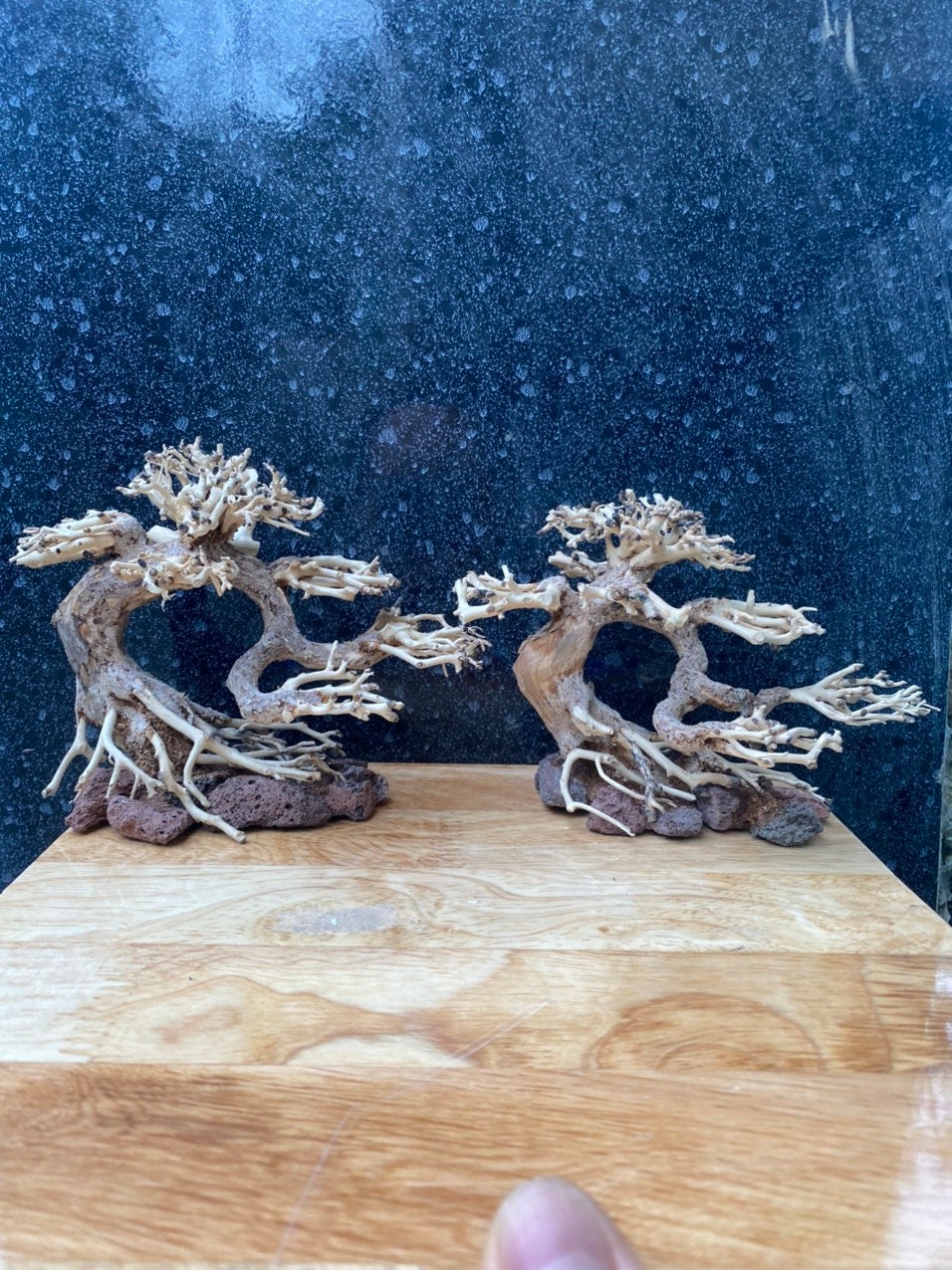 Driftwood Bonsai Aquarium Plants Real Drift Wood Fish Tank Etsy