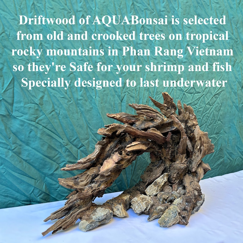 May include: Driftwood from Phan Rang Vietnam, a natural piece of wood for aquariums and fish tanks.  The driftwood is safe for shrimp and fish.  It is specially designed to last underwater.