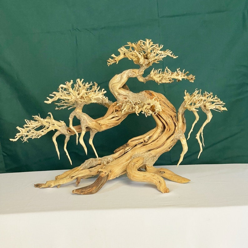 Peut inclure: Sculpture d&eacute;corative d'un bonsa&iuml; en bois clair. Le tronc et les branches sont torsad&eacute;s, avec un feuillage textur&eacute; et complexe. L'&oelig;uvre est mise en valeur sur un fond vert, soulignant les tons naturels du bois et le savoir-faire.