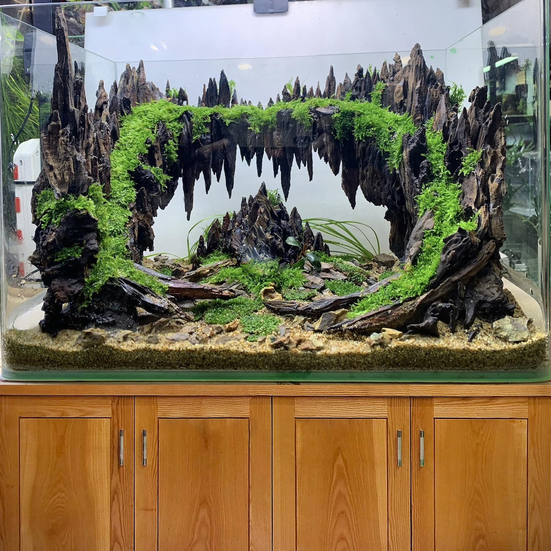 水槽の流木 大型水景 盆栽 流木 洞窟 水槽 装飾 - Etsy 日本