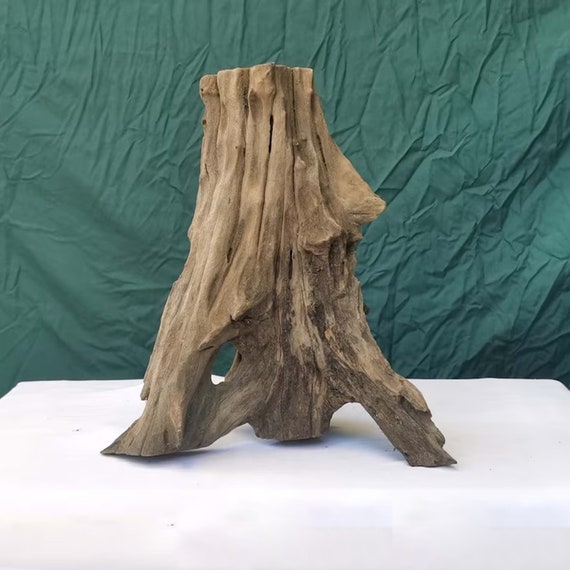 水槽用木の切り株流木盆栽流木根装飾水槽 - Etsy 日本