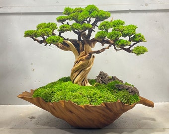 Bonsai driftwood preserved moss wood sculpture pot handmade for coffee table home decor