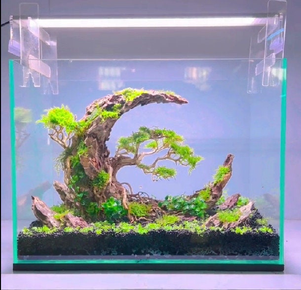 Decorazione per acquario in ceramica ~ Mini teschio ~ - Italia