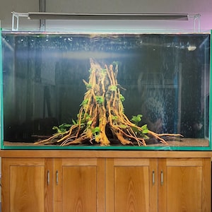 Aquarium tree stump driftwood bonsai aquascaping wood fish tank plants