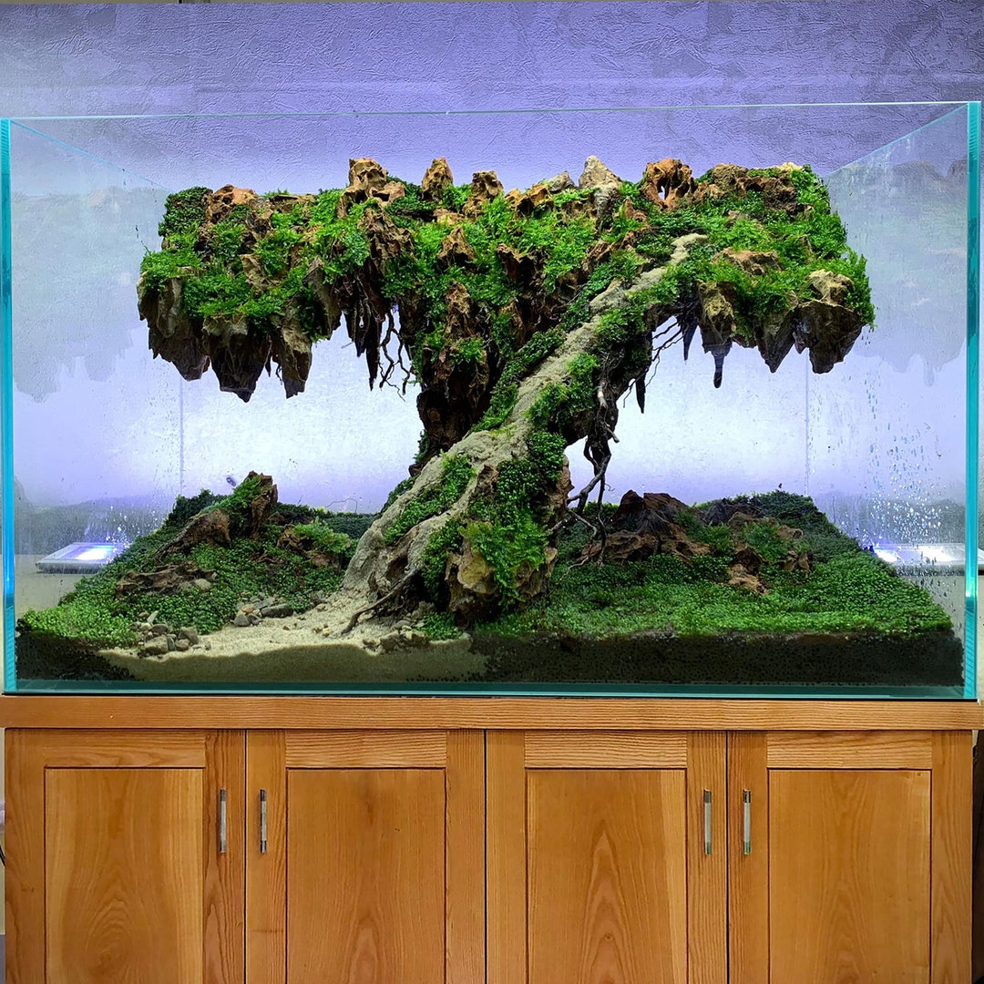 Dragon Stone Aquarium Aquascape Landscape Bonsai Fish Tank Decorations Etsy