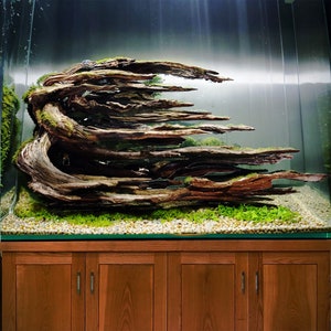 Drift wood bonsai aquarium aquascape driftwood reptile fish tank decor gifts for him