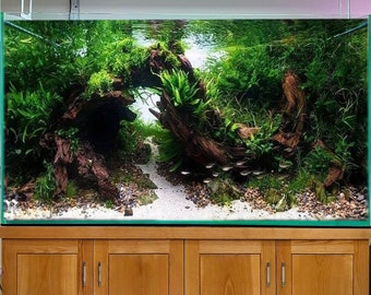 Aquarium aquascape drift wood for aquarium landscape with rock fish tank ideas