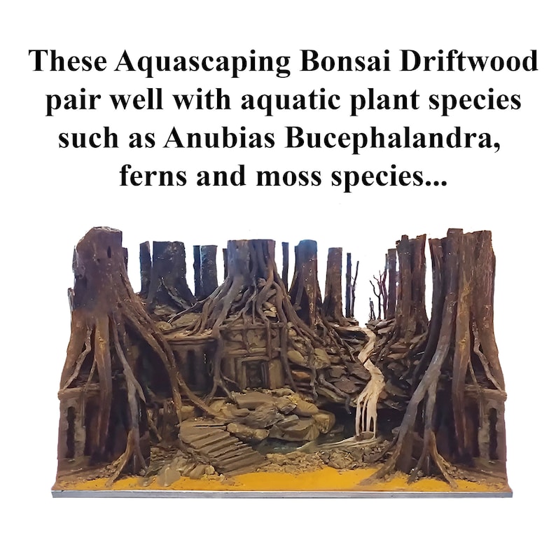 Puede incluir: Una escena de aquascaping en miniatura con una peque&ntilde;a cascada y un camino que conduce a trav&eacute;s de un bosque de bons&aacute;is y madera flotante. El texto "These Aquascaping Bonsai Driftwood pair well with aquatic plant species such as Anubias Bucephalandra, ferns and moss species..." est&aacute; escrito sobre la escena.