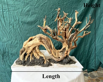 額縁YATAYA・廃盤・桜の大木・値下げ Driftwood Bonsai Tree: Aquarium Aquascape Fish Tank