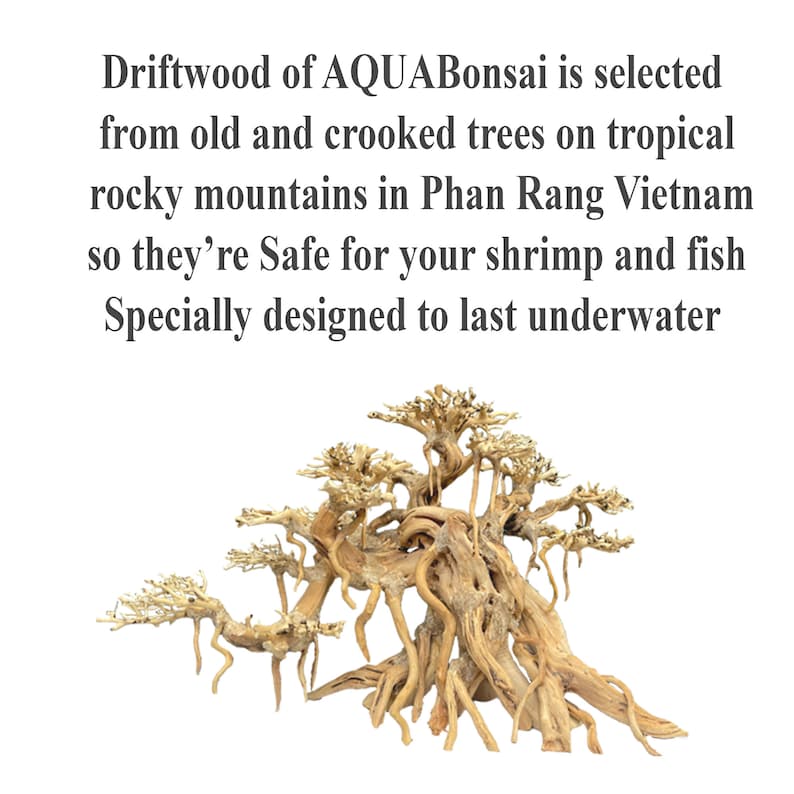 May include: Driftwood from AQUABonsai, a natural piece of wood from old and crooked trees on tropical rocky mountains in Phan Rang Vietnam.  The driftwood is designed to last underwater and is safe for shrimp and fish.