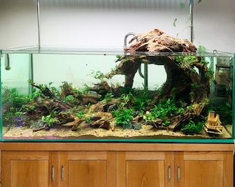 アクアスケープ 水槽 流木 盆栽 アクアスケープ 植物 ハード