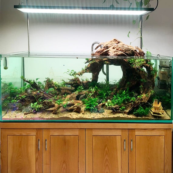 アクアスケープ 水槽 流木 盆栽 アクアスケープ 植物 ハード