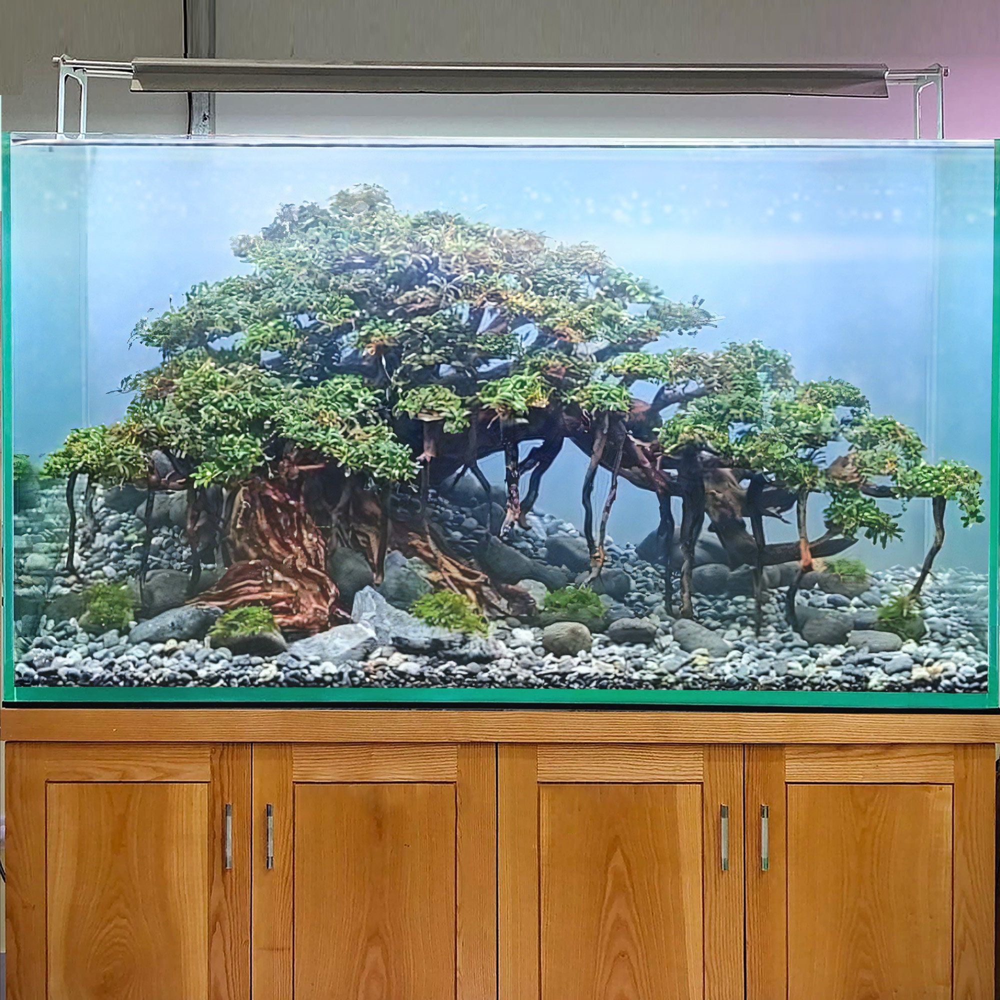 BESPORTBLE 5Pcs Aquarium Landschapsarchitectuur Boom Bureau Top Decor BESPORTBLE 5Pcs Aquarium Landschapsarchitectuur Boom Bureau Top Decor