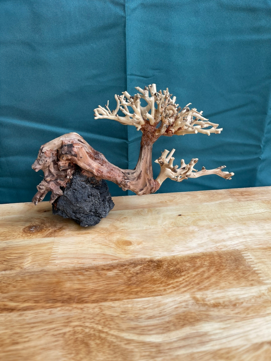 Drift Wood Bonsai Aquarium Plants Aquascape Driftwood Fish Tank