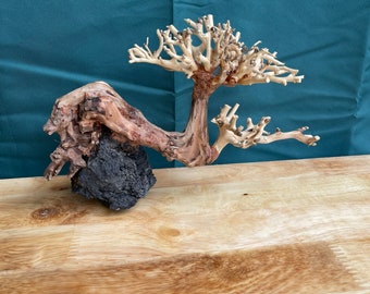 Drift wood bonsai aquarium plants aquascape driftwood fish tank decor