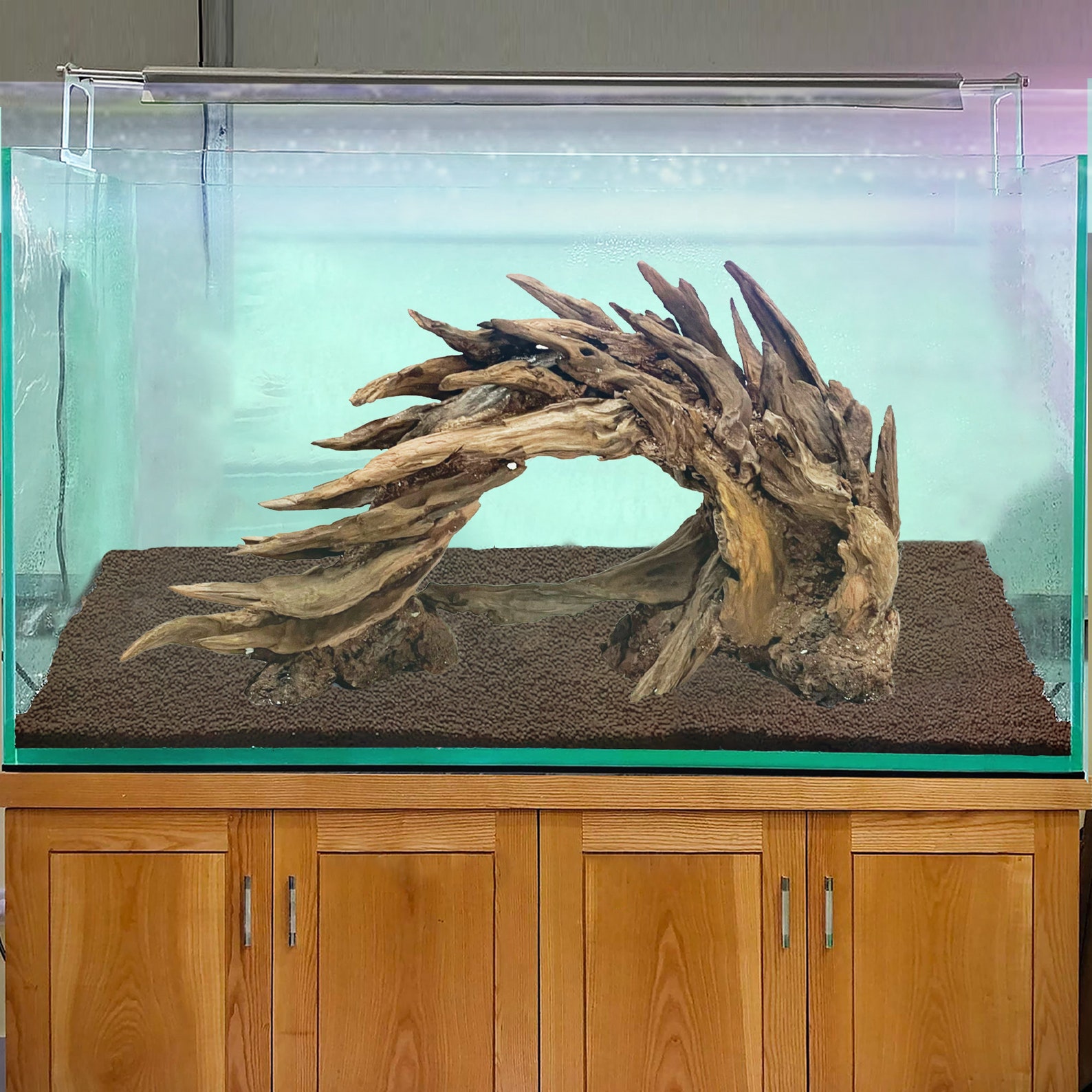 Bonsai Driftwood for Aquarium Aquascape Decor Aquarium Etsy