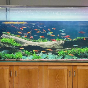 Driftwood Aquarium Cave Aquascape Decorative Drift wood Fish Tank