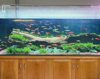 Driftwood Aquarium Cave Aquascape Decorative Drift wood Fish Tank