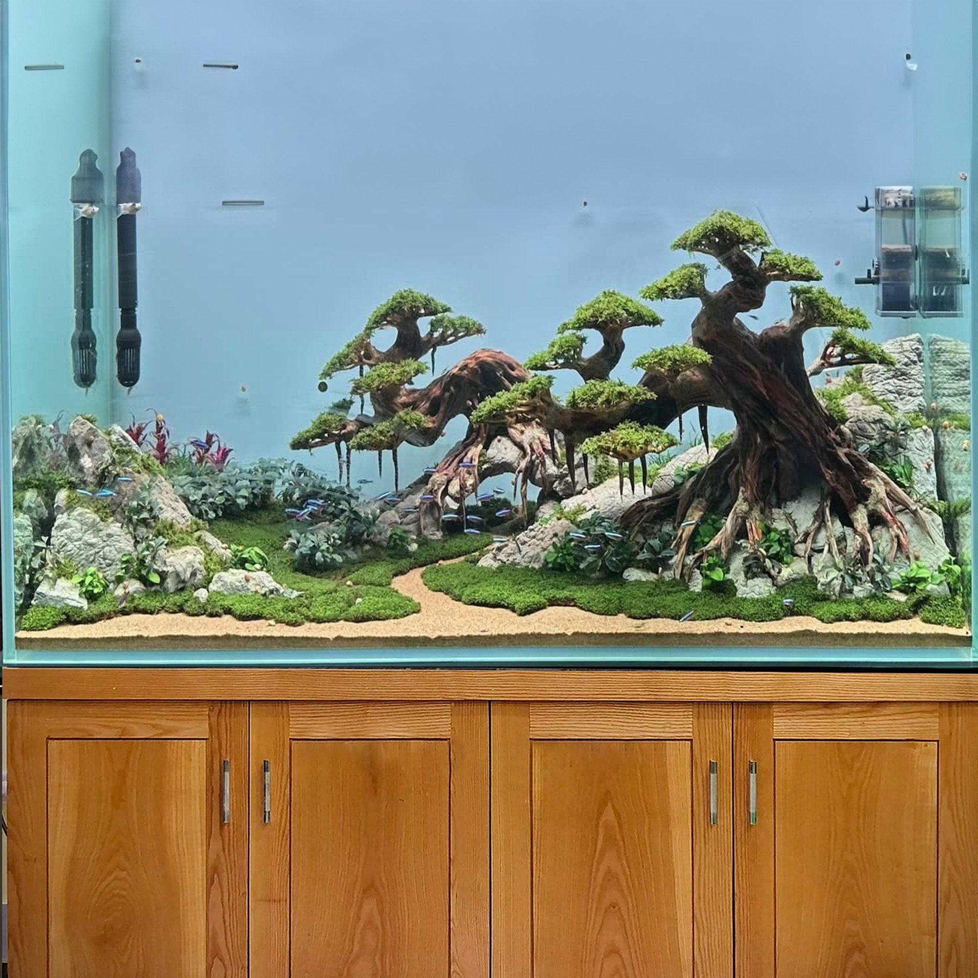盆栽流木水槽流木アクアスケープハードスケープ装飾岩魚水槽背景