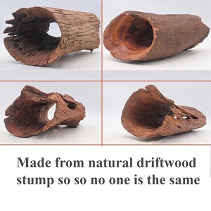 May include: Four different views of a natural driftwood stump with a hollowed-out center. The wood is a dark brown color and has a rough, textured surface.  Made from natural driftwood stump so so no one is the same.