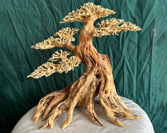 Bonsai driftwood for aquarium easy aquascape plants hardscape real fish tank decor