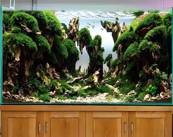 Aquascape aquarium dragon rock bonsai aquascaping hardscape fish tank decorations