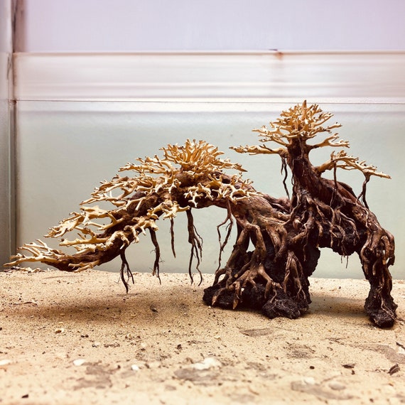 盆栽流木水槽水景岩盆栽水槽の装飾用 - Etsy 日本