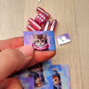 Velvet Paws, le jeu d'épargne chat doux, à gratter, cartes, capsules budget image 5