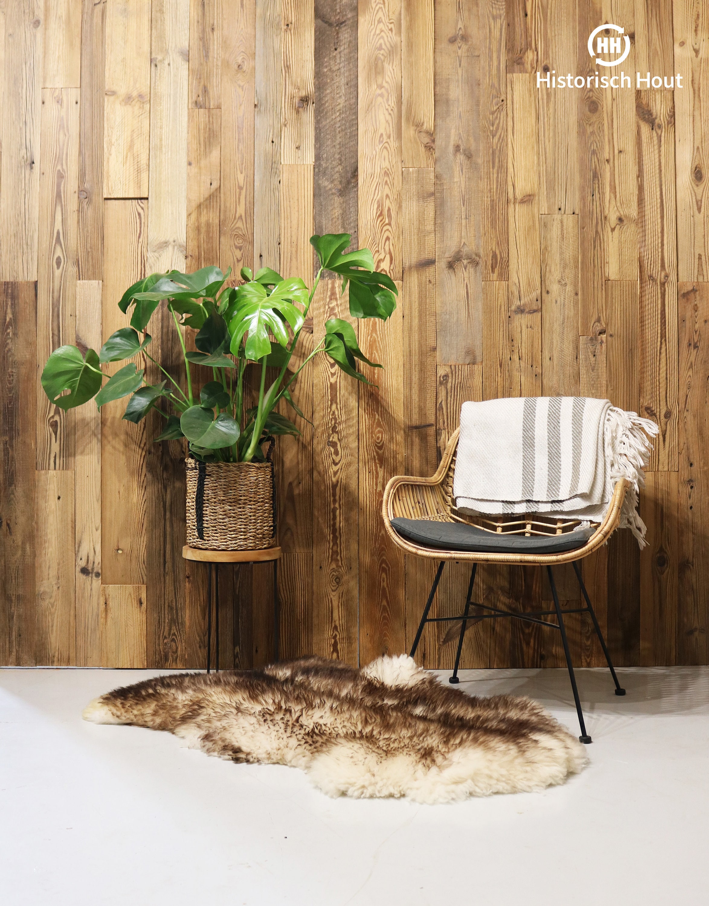 Teacher Created Resources Bordure De Salle De Classe Jaune Miniature Pois Uki2421