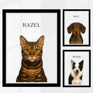 Custom pet portraits, digital painting from photo, pet gifts, custom portraits, pet art drawing, digital download, cat dog portrait,pet gift