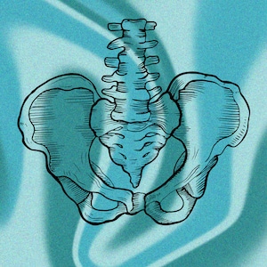 DIGITAL DOWNLOAD - Blue Pelvis