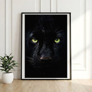 Puede incluir: Impresión artística enmarcada que muestra un primer plano de la cara de una pantera negra. Los brillantes ojos verdes de la pantera destacan sobre el pelaje oscuro. La obra está enmarcada en negro y se exhibe sobre un suelo de madera clara.
