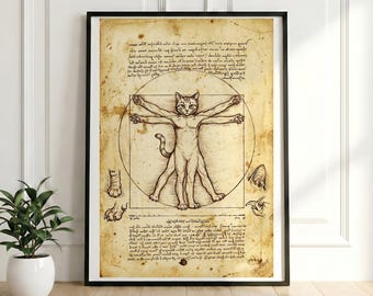 Vitruvian Cat Da Vinci Renaissance Sketch, Antique Cat Anatomy Poster, High Resolution Digital Print